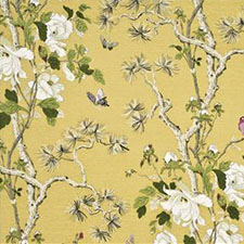 Tree Peony Strong Yellow/Ivory SKU BP10463.5